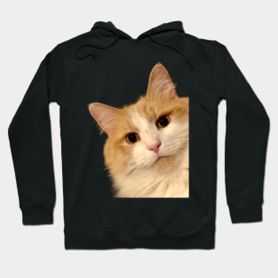 Simba The Ginger , The Look Hoodie